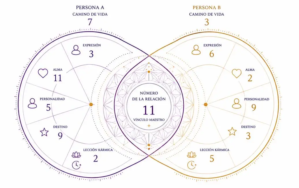 Sinastría Numérica – análisis de vínculos